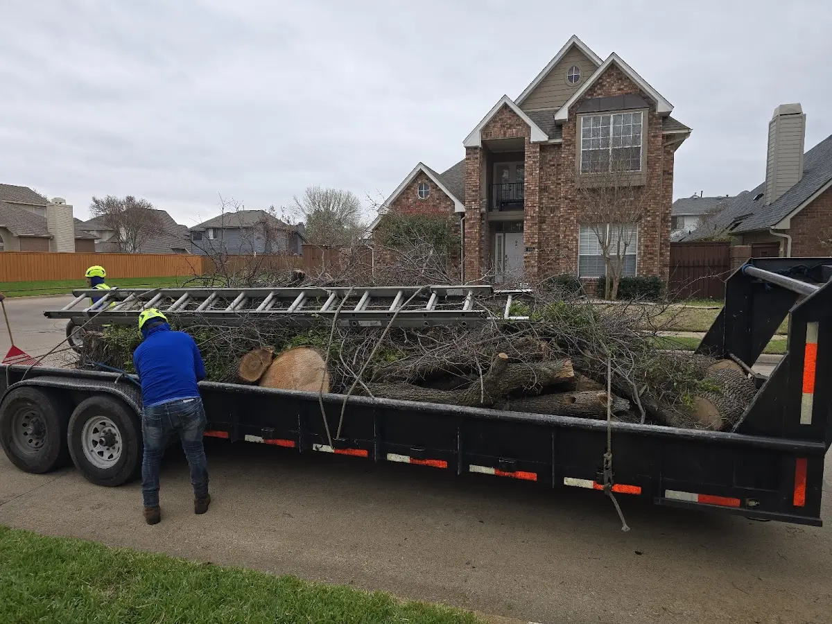 Expert Lot Clearing with proper safety equipment in Casco